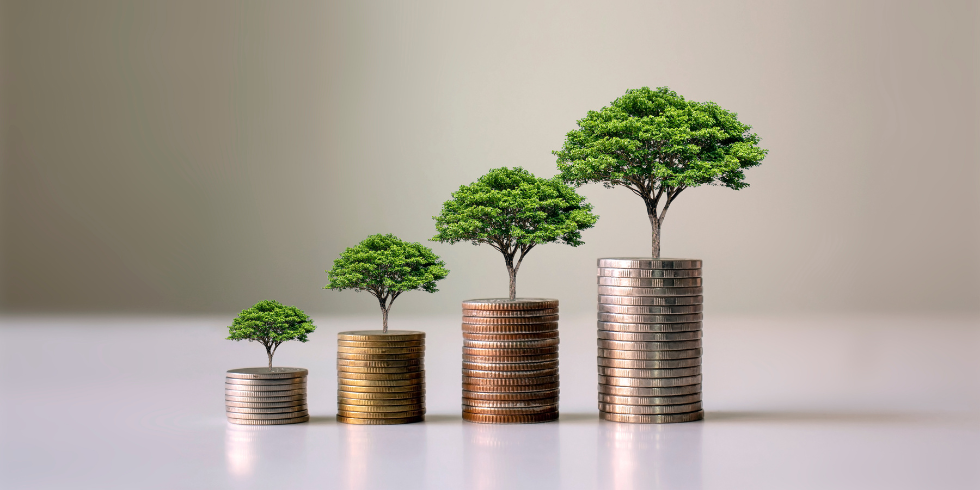 Trees growing on coins