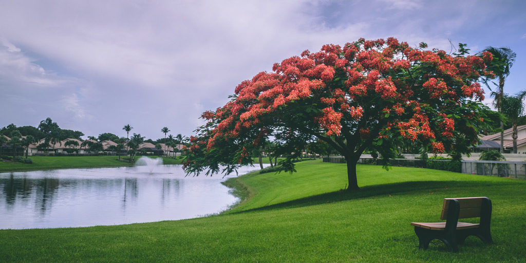 Beauty created by Landscape Industry