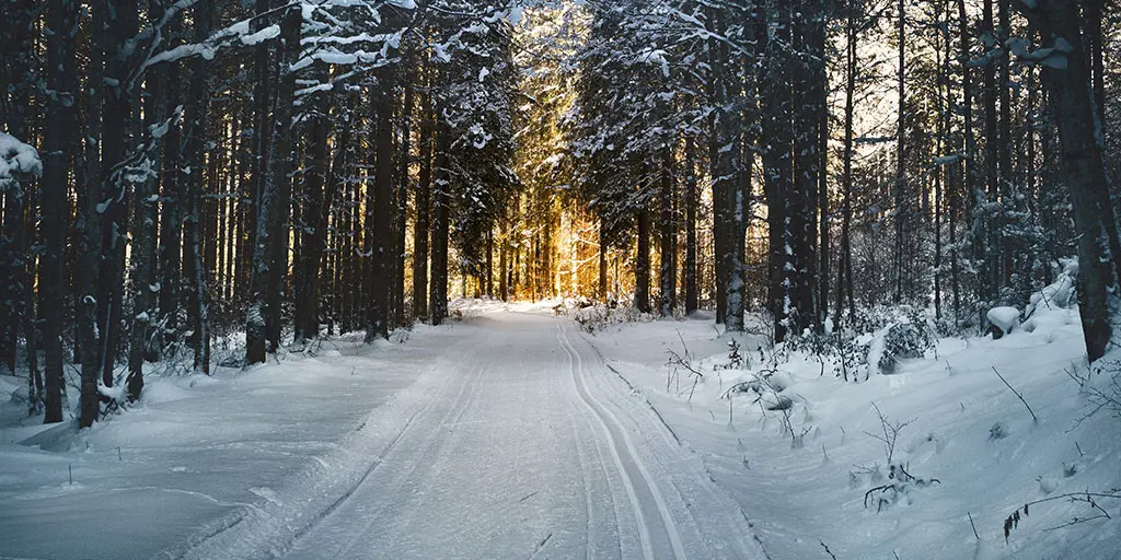 BrightView: Snow Contracts & COVID-19 Impact Revenue