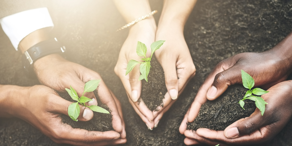 Four habits all high-performing landscape companies share