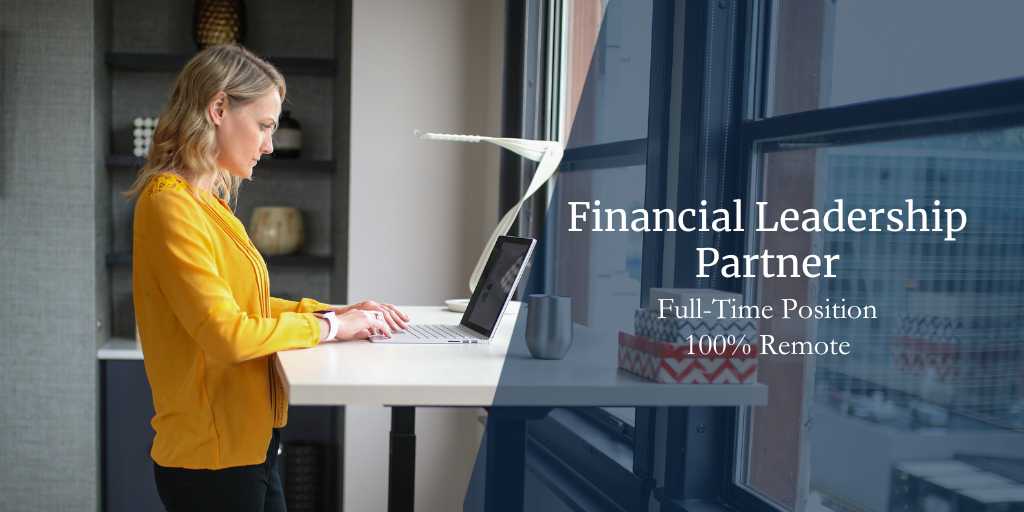 Financial Leadership Partner (CFO-Level Consultant) – Full Time – 100% Remote