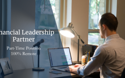 Financial Leadership Partner (CFO-Level Consultant) – Part Time – 100% Remote