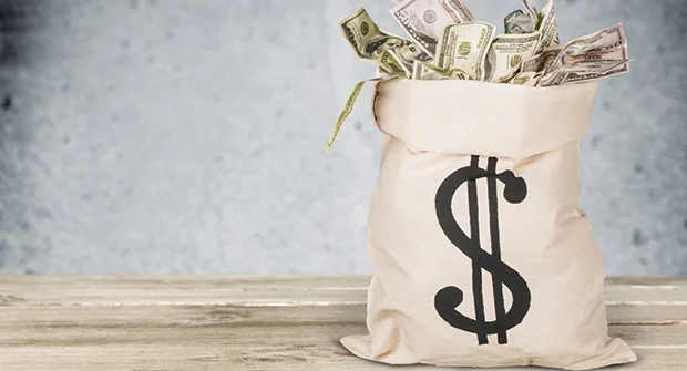 Common traits of large, high-profit-margin companies