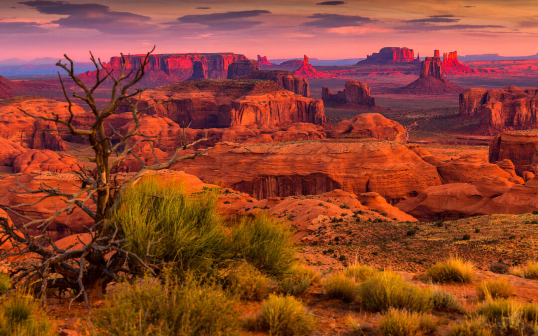 BrightView Update: Signals Every Competitor Should Watch