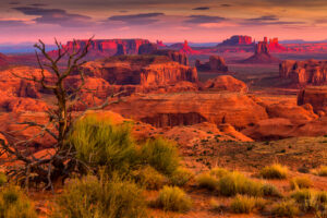 Desert landscape