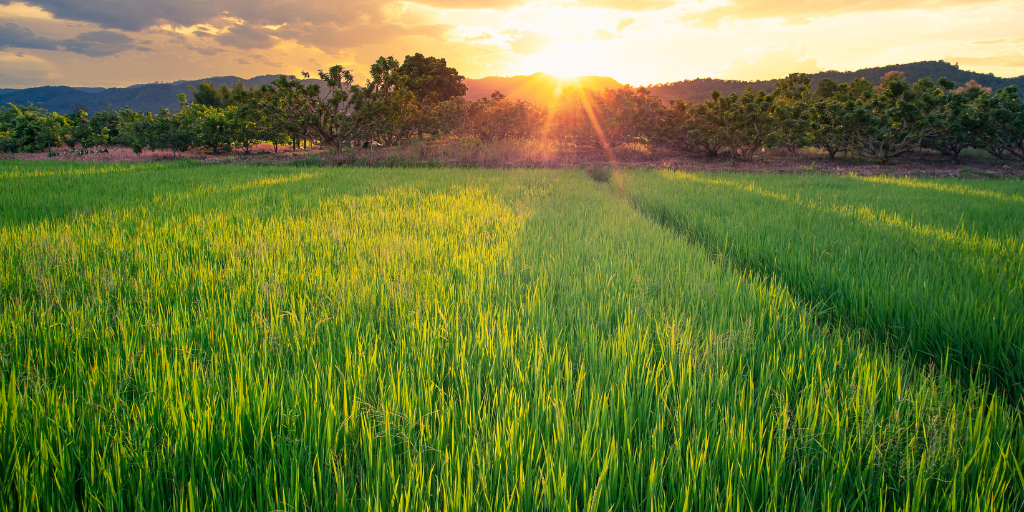 Private equity and making a ‘green exit’