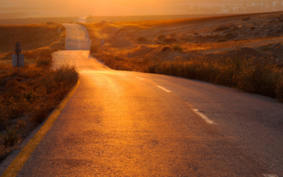 BrightView: The Turnaround Continues